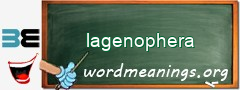 WordMeaning blackboard for lagenophera